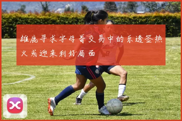 雄鹿寻求字母哥交易中的乐透签热火或迎来利好局面