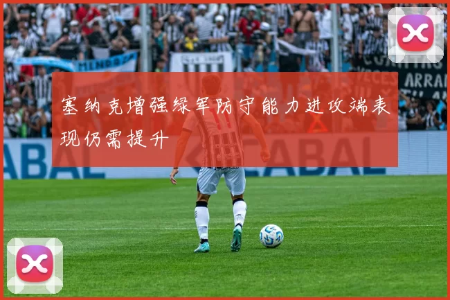 塞纳克增强绿军防守能力进攻端表现仍需提升